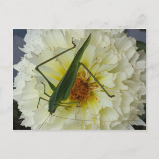 Dahlia 1 - Erziehungsbrainfart Postkarte