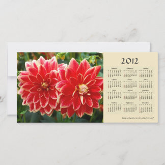 Dahlia 2012 Kalender Fotokarte