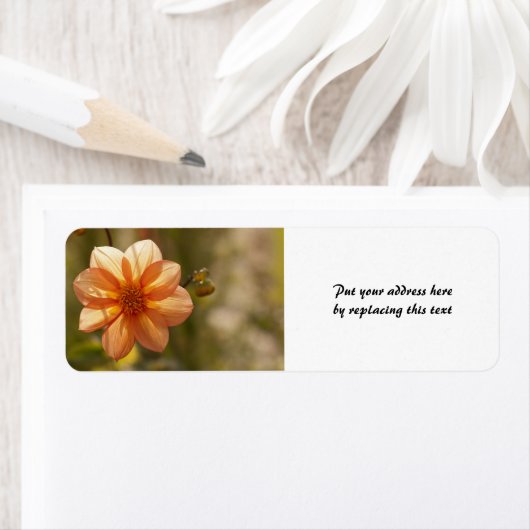 Dahlia Address Labels (Insitu)