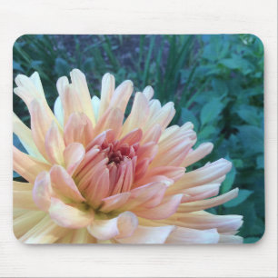 Dahlia B: Gelb und Lachs — Mousepad
