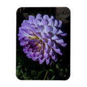 Dahlia Bea Paradise #1 Magnet (Vertikal)