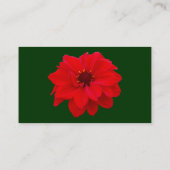 Dahlia, Bischof von Llandaff - Dark Green (003300) Visitenkarte (Rückseite)