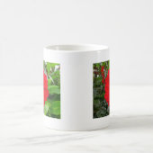 Dahlia - Bischof von Llandaff Kaffeetasse (Mittel)