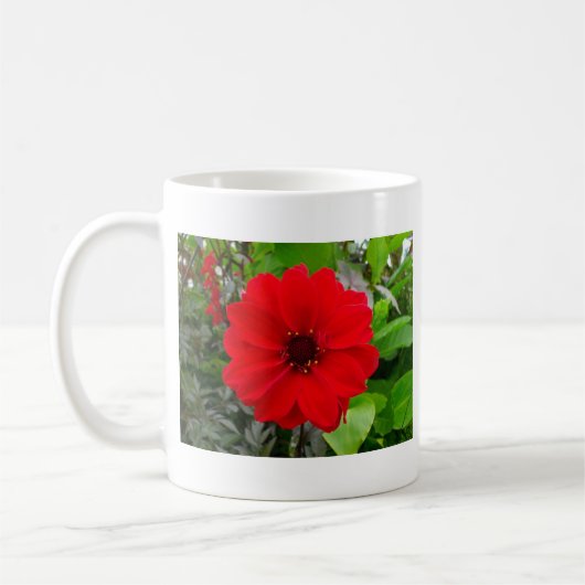 Dahlia - Bischof von Llandaff Kaffeetasse (Links)