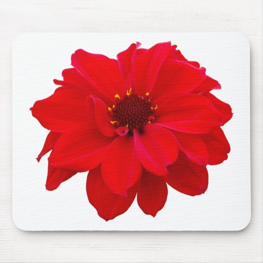 Dahlia - Bischof von Llandaff Mousepad (Vorne)