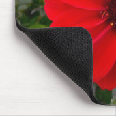 Dahlia - Bischof von Llandaff Mousepad (Ecke)