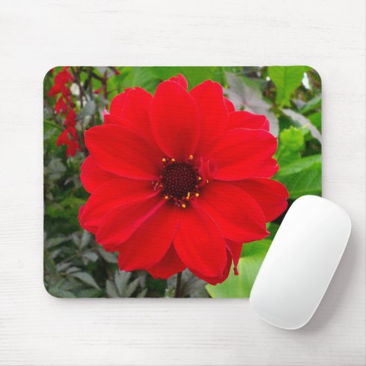 Dahlia - Bischof von Llandaff Mousepad (Mit Mouse)