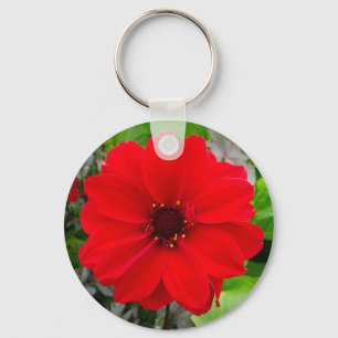 Dahlia - Bischof von Llandaff Schlüsselanhänger