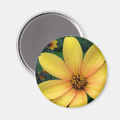 Dahlia Bishop of York Magnet (Vorderseite/Rückseite)