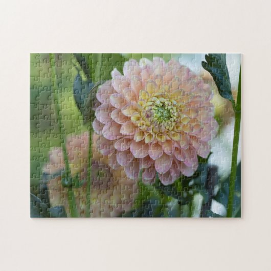 Dahlia Blossom Puzzle (Horizontal)