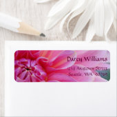 Dahlia Blume (Insitu)