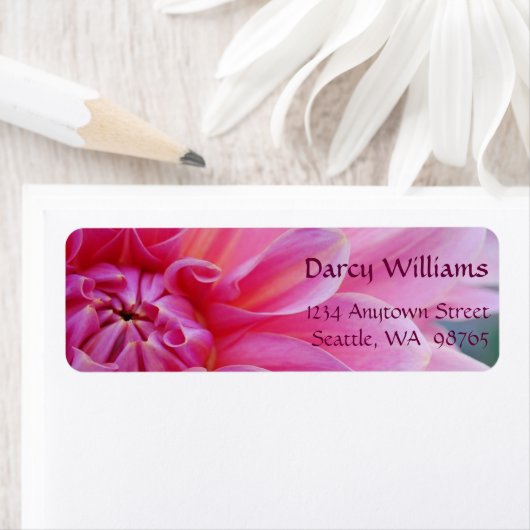 Dahlia Blume (Insitu)