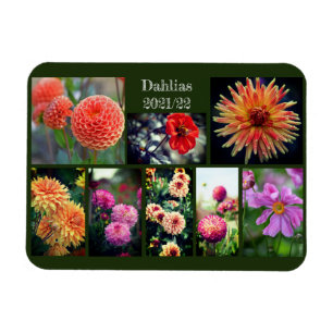 Dahlia Blume Aight Foto Personal Collage Magnet