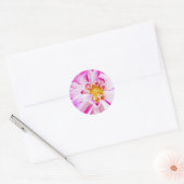 Dahlia Blume Aufkleber Pink Dahlia Floral (Umschlag)