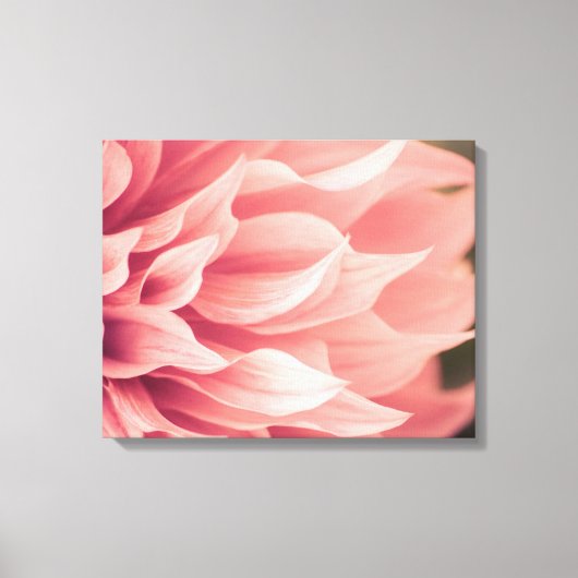 Dahlia Blume Blossom Leinwanddruck (Vorderseite)