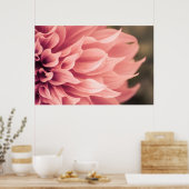 Dahlia Blume Blossom Poster (Küche)