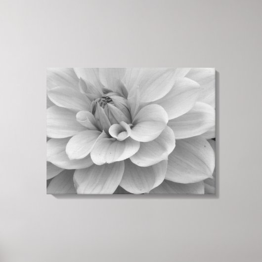 Dahlia Blume Canvas Print Leinwanddruck (Vorderseite)