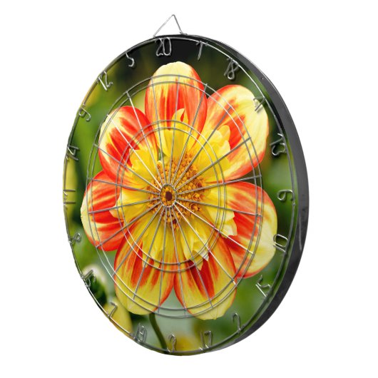 Dahlia Blume Dartscheibe (Vorderseite rechts)