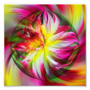 Dahlia Blume Floral Abstrakt Art 8x8 Fotodruck