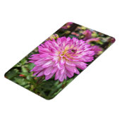 Dahlia Blume Foto Magnet (Linke Seite)