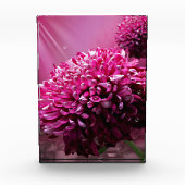 Dahlia Blume Fotoblock (Vorderseite)