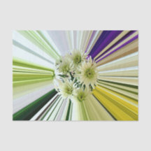 Dahlia Blume gestreift