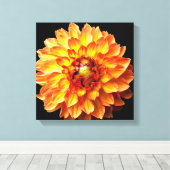 Dahlia Blume Leinwand. Leinwanddruck (Insitu (Holzboden))