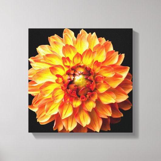Dahlia Blume Leinwand. Leinwanddruck (Vorderseite)