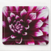 Dahlia Blume Mousepad (Vorne)