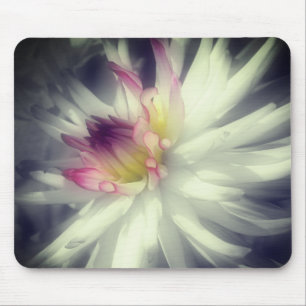 Dahlia Blume Nah Schwarz-Weiß Mousepad