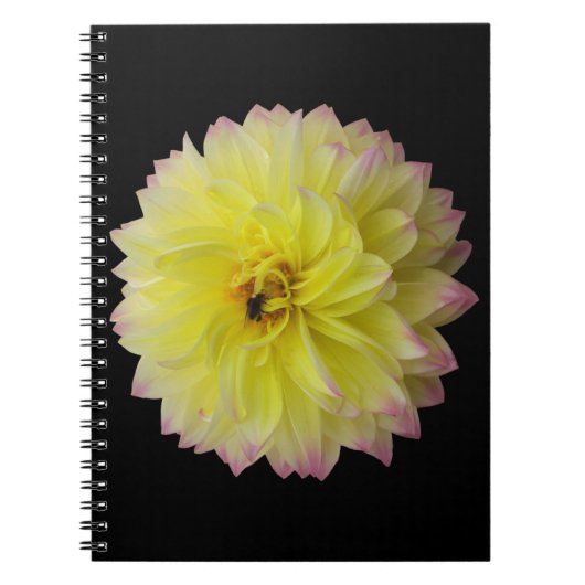 Dahlia Blume Notebook Notizblock (Vorderseite)