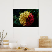 Dahlia Blume Poster (Küche)