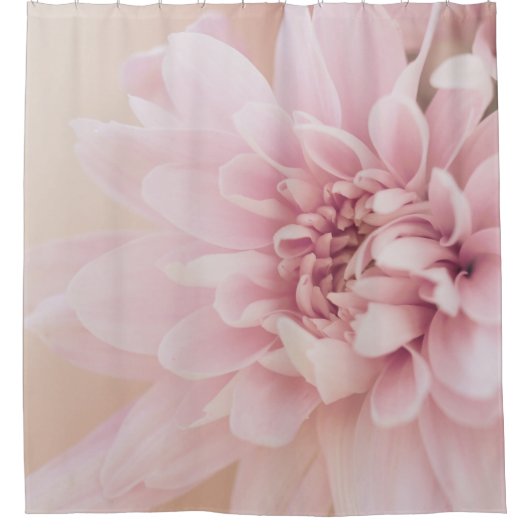 Dahlia Blume Rosa Creme und Blumen Duschvorhang (Vorderseite)