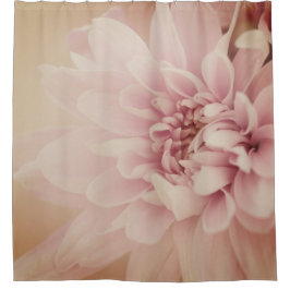 Dahlia Blume Rosa und Goldflora Duschvorhang