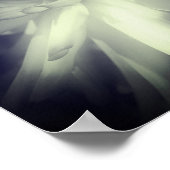 Dahlia Blume Schwarz-Weiß-Kontrast Poster (Ecke)