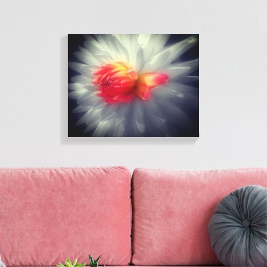 Dahlia Blume Schwarz-Weiß Leinwanddruck (Insitu (Wohnzimmer))