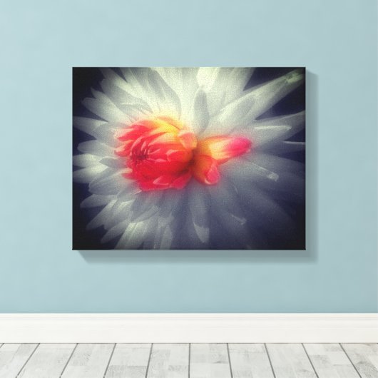 Dahlia Blume Schwarz-Weiß Leinwanddruck (Insitu (Holzboden))