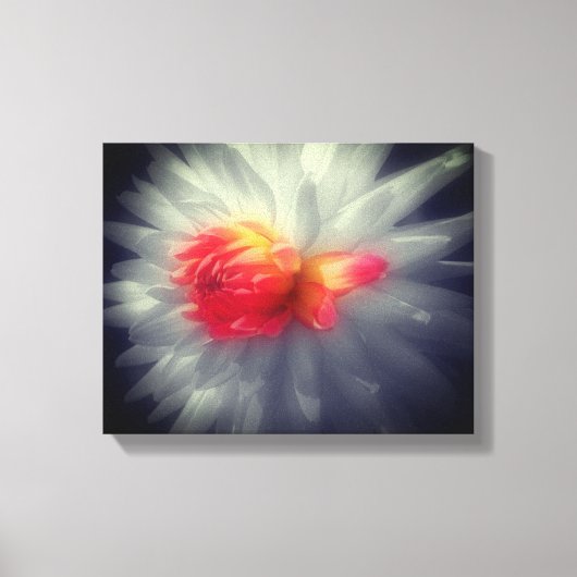 Dahlia Blume Schwarz-Weiß Leinwanddruck (Vorderseite)