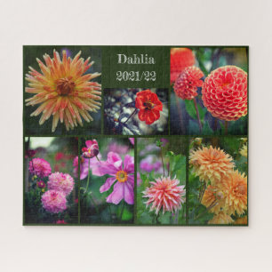 Dahlia Blume Seven Foto Collage 520pc Jigsaw Pu Puzzle