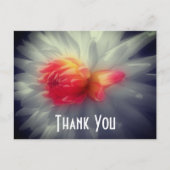 Dahlia Blume teilweise Farbe Vielen Dank Postkarte (Vorderseite)