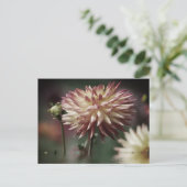 Dahlia-Blume über dem Wasser Postkarte (Stehend Vorderseite)