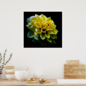 Dahlia Blume und Bedeutung Poster (Küche)