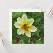 Dahlia Blume und Biene Karte (Vorderseite/Rückseite Beispiel)