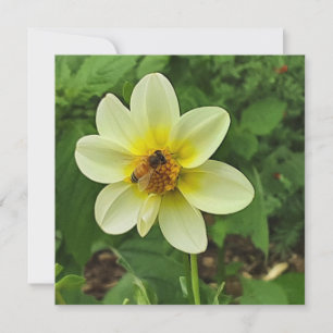 Dahlia Blume und Biene Karte