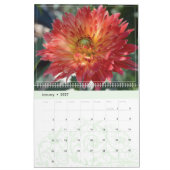 Dahlia Blume Wall Calendar feiern Kalender (Jan 2027)