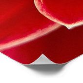 Dahlia Closeup Poster (Ecke)