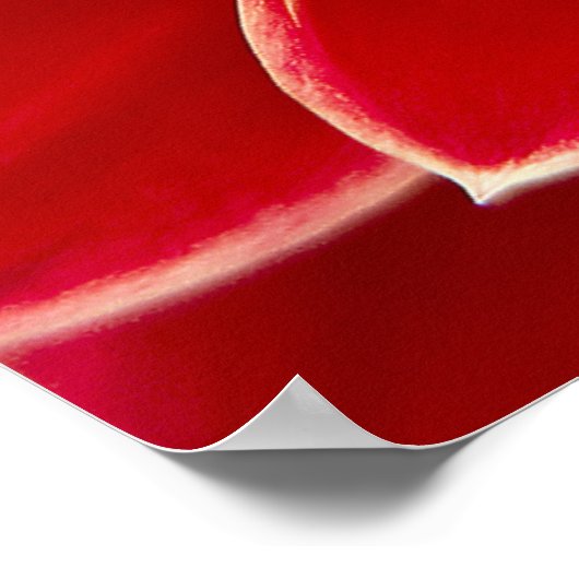 Dahlia Closeup Poster (Ecke)