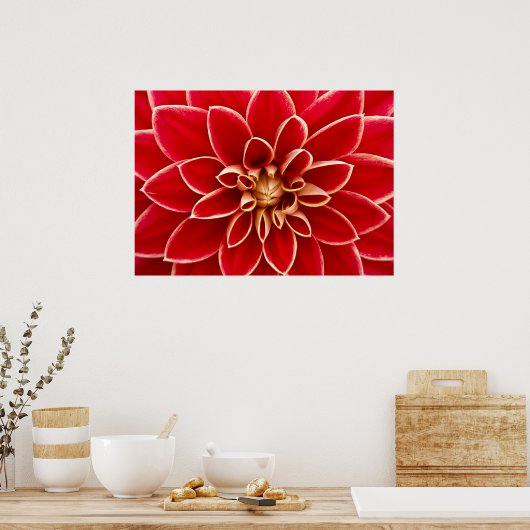 Dahlia Closeup Poster (Küche)