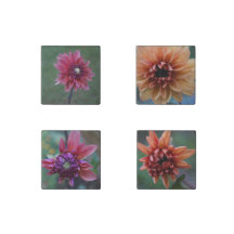 Dahlia Collection Stone Magnete