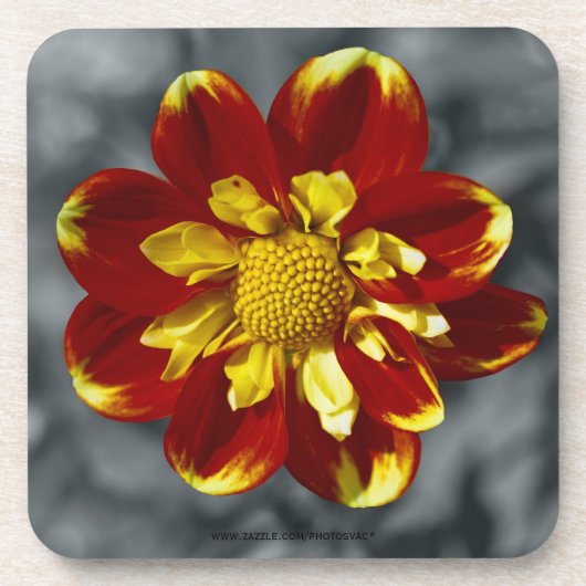 Dahlia Cork Untersetzer (Vorderseite)